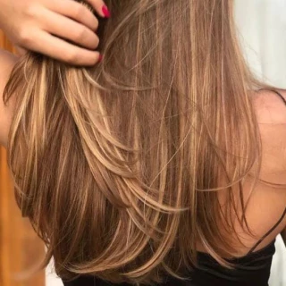 MECHAS